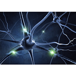 Deep Learning Partnership