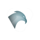 Buzzard-Webdesign