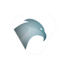 Buzzard-Webdesign