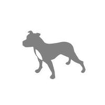 Greydog