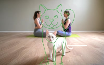 Centro yoga: brand identity, shooting e social per il lancio - Digital Strategy