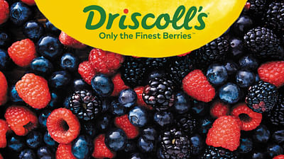 Driscoll's Sweet Tribute - Brand Activation - Website Creation