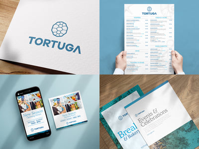 Building a Distinctive Brand for Tortuga - Graphic Design