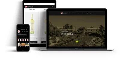 Sito ecommerce e contenuti per Cantina - Website Creatie