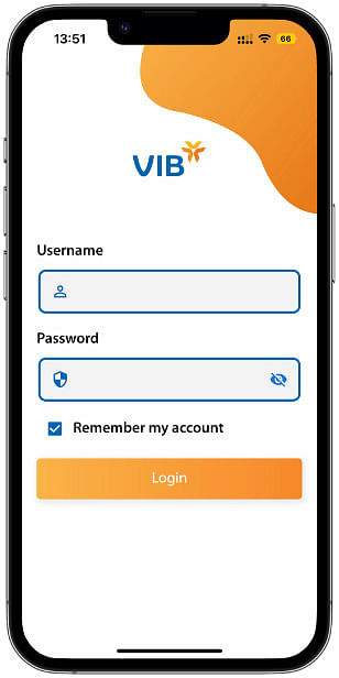 VIB Report - Application mobile