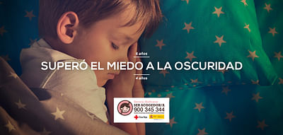 Campaña de marketing digital Cruz Roja Española - Redes Sociales