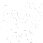 Amplify Your Brand