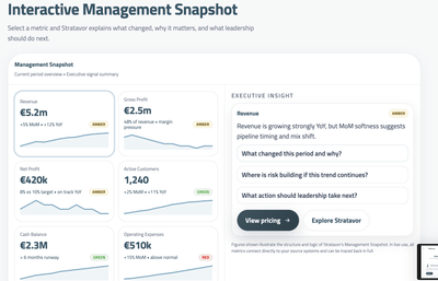 Financial Analytics Platform Development - Data Consulting