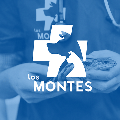 Clínica Los Montes -Web & Logo - Creación de Sitios Web