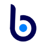 Blue BI Srl