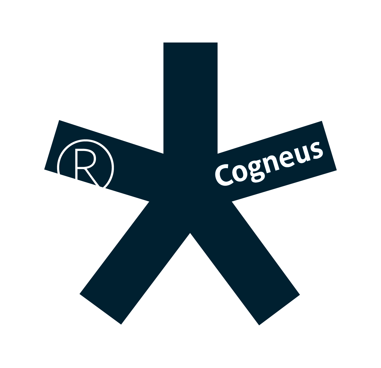 Cogneus Design Studio