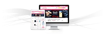 PERFUMERÍA ONLINE LA CENTRAL DEL PERFUME - Webseitengestaltung