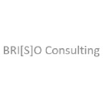 BRIZO Consulting Deutschland GmbH