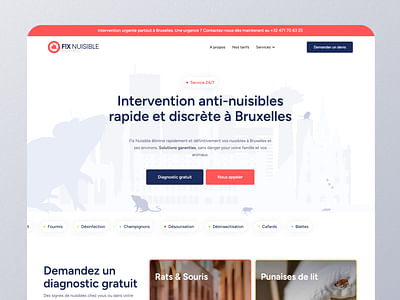 Exterminateur de nuisible à Bruxelles - Publicité en ligne