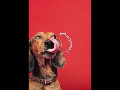"Dog Tongue + Speedometer"