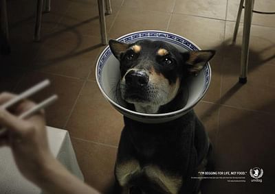 Beg for Life : Dog Bowl 2 - Advertising