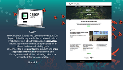 CESOP-Local for Universidade Católica de Lisboa - Webseitengestaltung