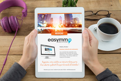 identité visuelle d'une plateforme de bien immo - Design & graphisme