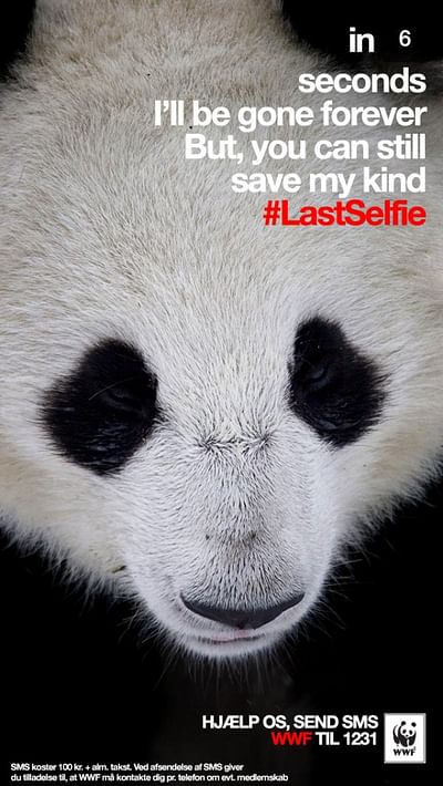 #LastSelfie, Panda - Onlinewerbung