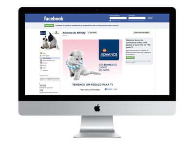App Facebook Advance Cat - Aplicación Web