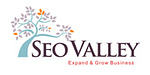 SEOValley Solutions Private Limited logo