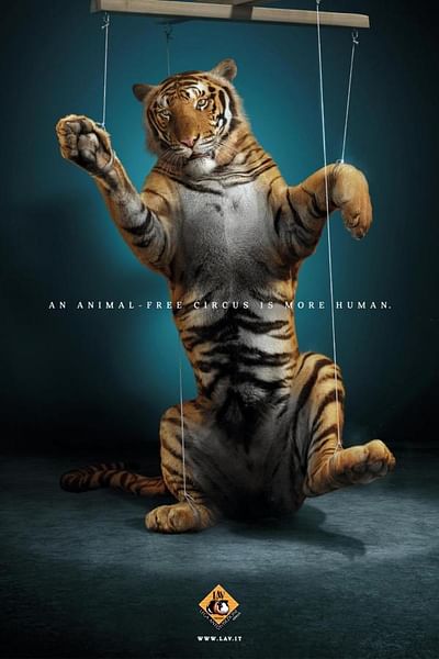 Tiger - Publicidad