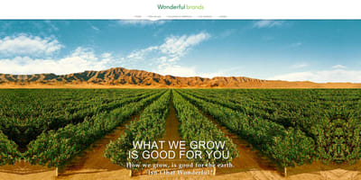 Wonderful Brands - Website Creatie