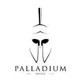 Palladium Image