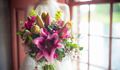Website voor Royalty Free foto's - Website Creatie
