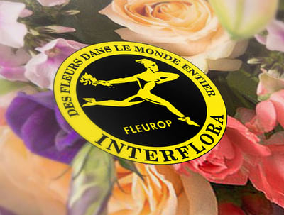 Interflora - Publicité web et web design - Pubblicità online