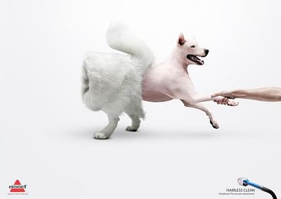 Husky - Werbung