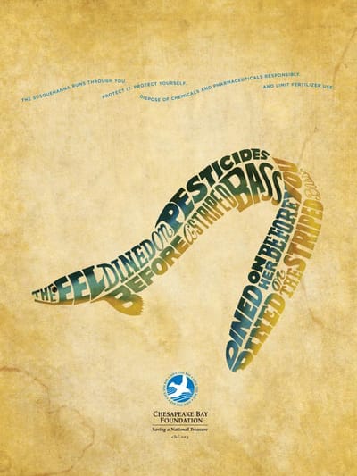 Eel CBF - Advertising