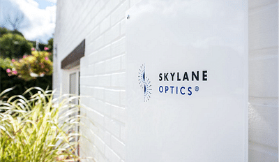 Skylane - Using digital to scale up - Stratégie digitale