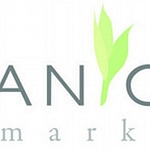 Organic SEO Marketing