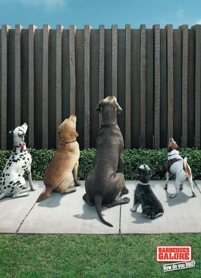 Dogs - Reclame