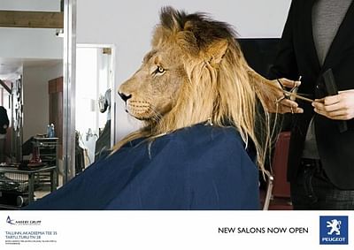 LION - Publicité