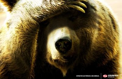 Bear - Werbung