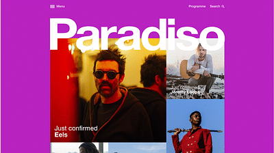 Paradiso online platform - Branding & Positionering