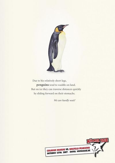 PENGUIN - Werbung