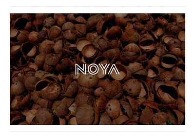 NOYA - Branding & Positioning