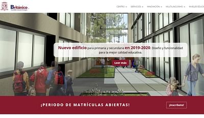 Diseño Web, SEO y Publicidad para Colegio Privado - SEO