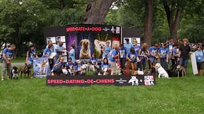 Speed-date-a-dog - Advertising