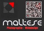 Maltese