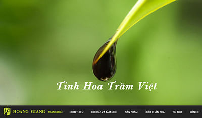 SEO for Hoang Giang Agarwood |Iris Data-driven SEO - SEO