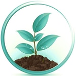Enlight Media Marketing