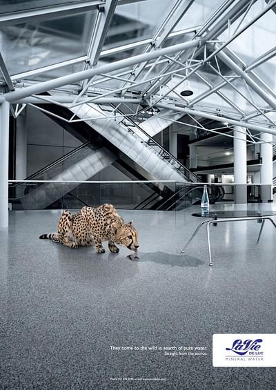 Leopard - Publicité