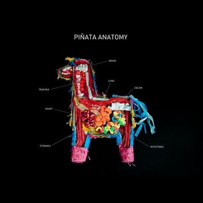 Pinata Anatomy - Publicidad