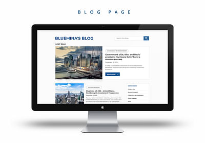 Bluemina Website Desing - Diseño Gráfico