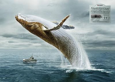 Whale-Leopard - Advertising