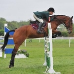 Halcyon Days Ltd logo